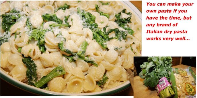 Orecchiette pasta with sautéed greens and Parmesan