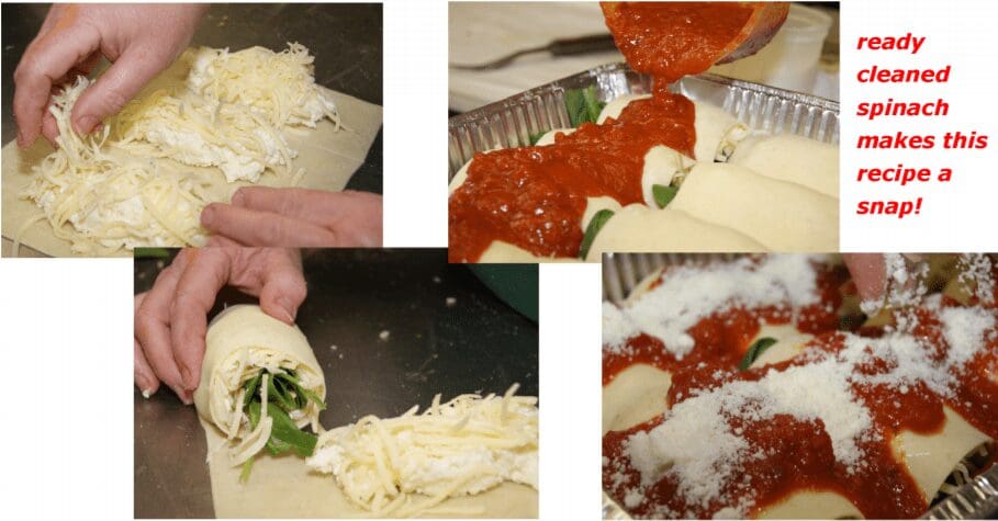 Spinach and cheese stuffed pasta with sauce